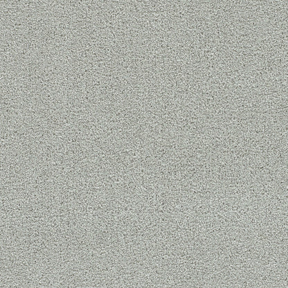 Clearwater I in Milestone Carpet