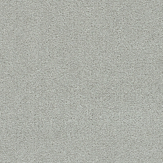 Clearwater I in Milestone Carpet