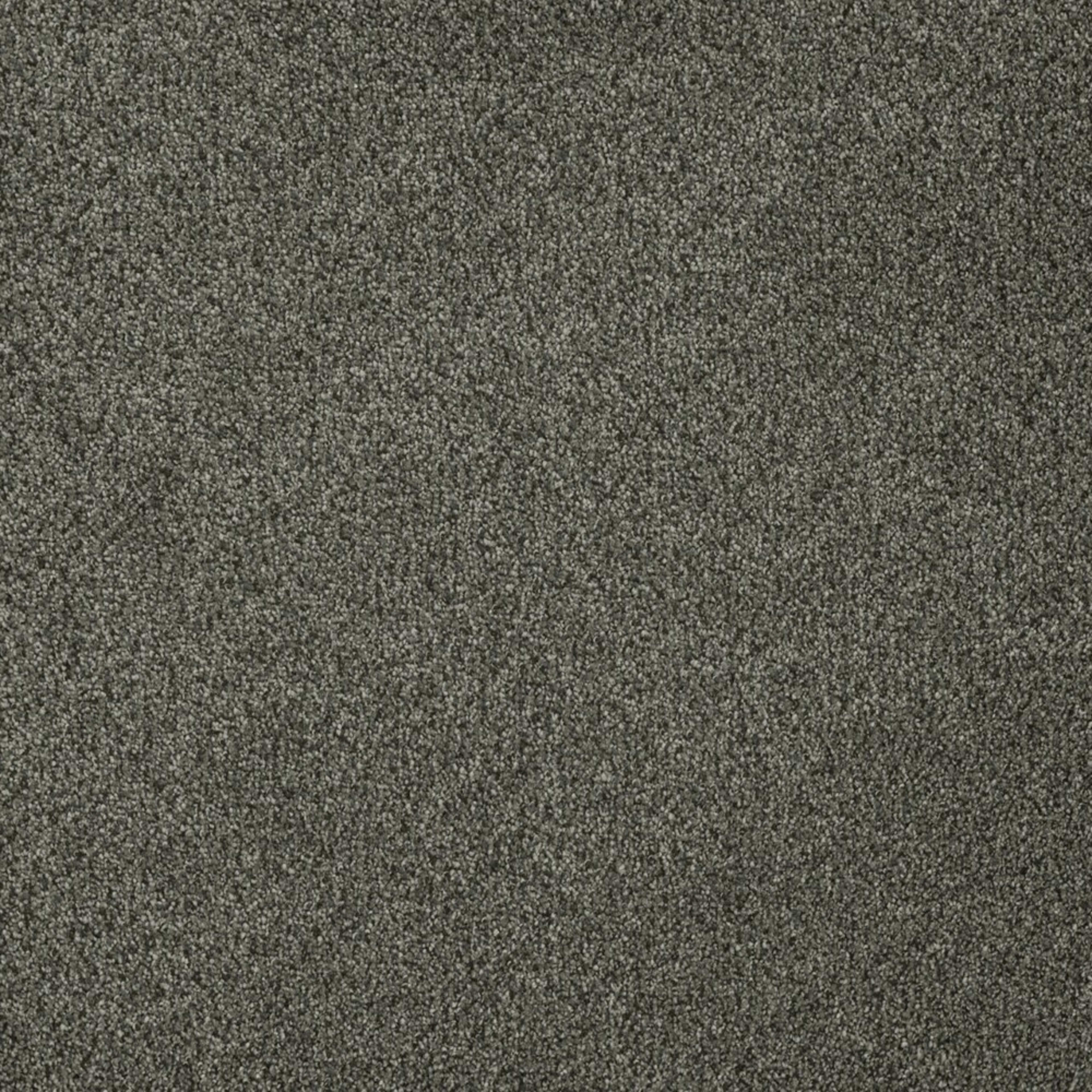 Newport I in Smoky Quartz Carpet