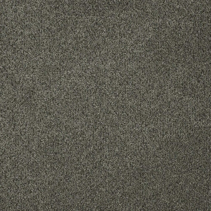 Newport I in Smoky Quartz Carpet