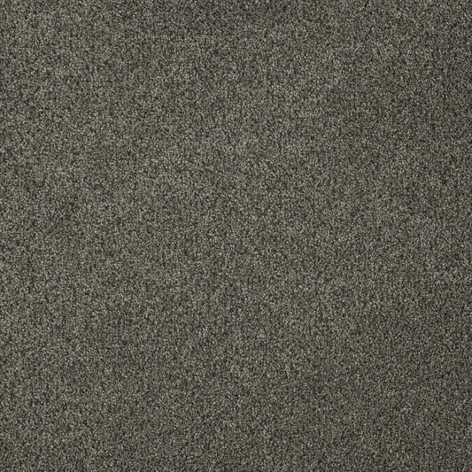 Newport I in Smoky Quartz Carpet