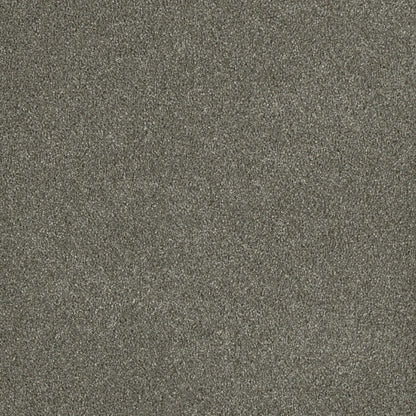 Newport II in Havana Carpet