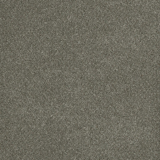 Newport II in Havana Carpet