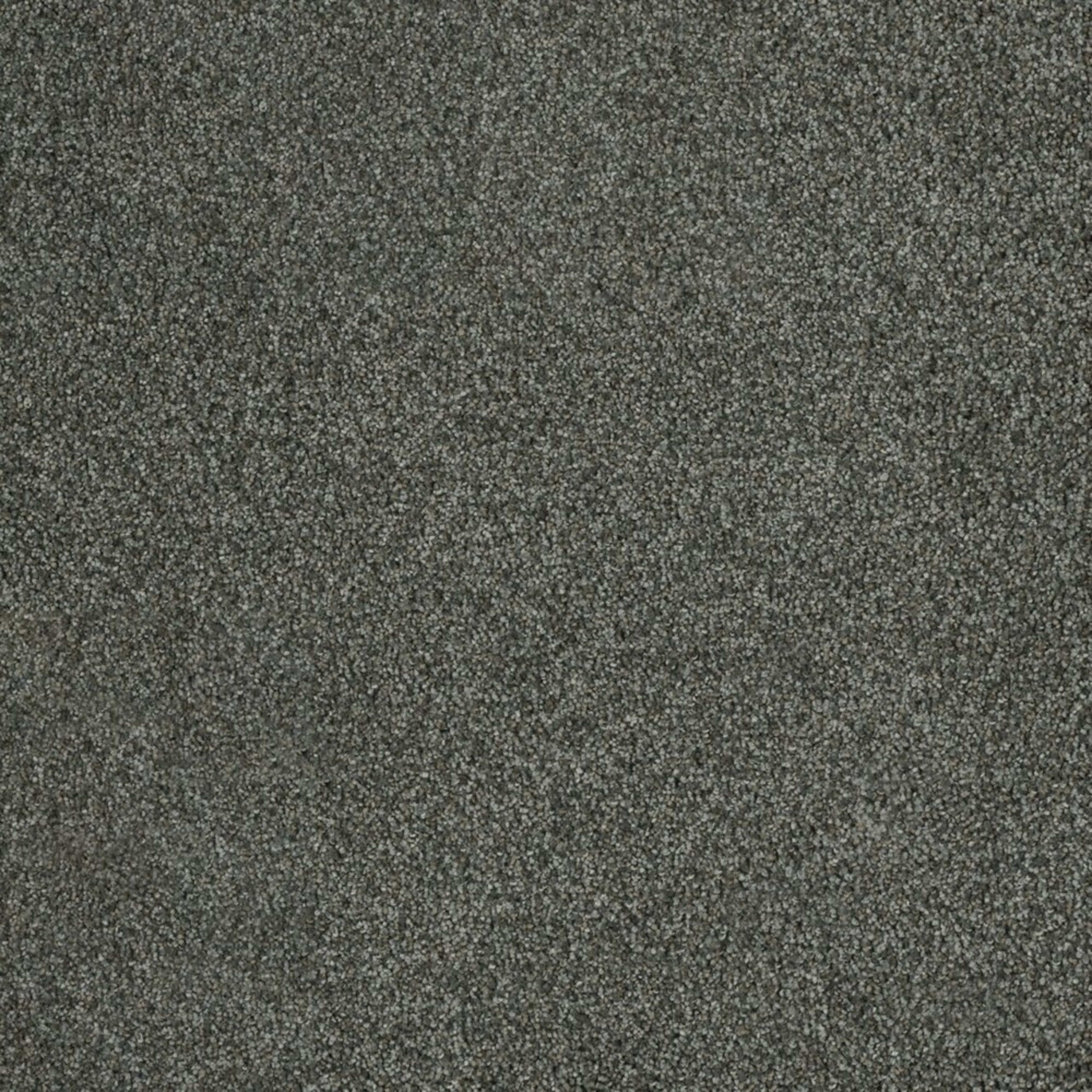 Newport III in Pavilion Carpet