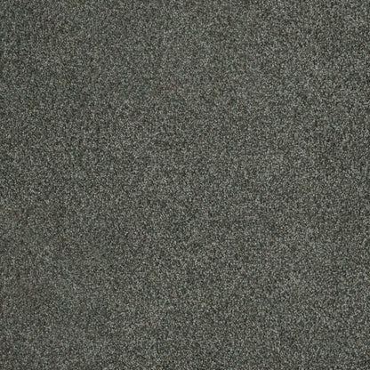Newport III in Pavilion Carpet
