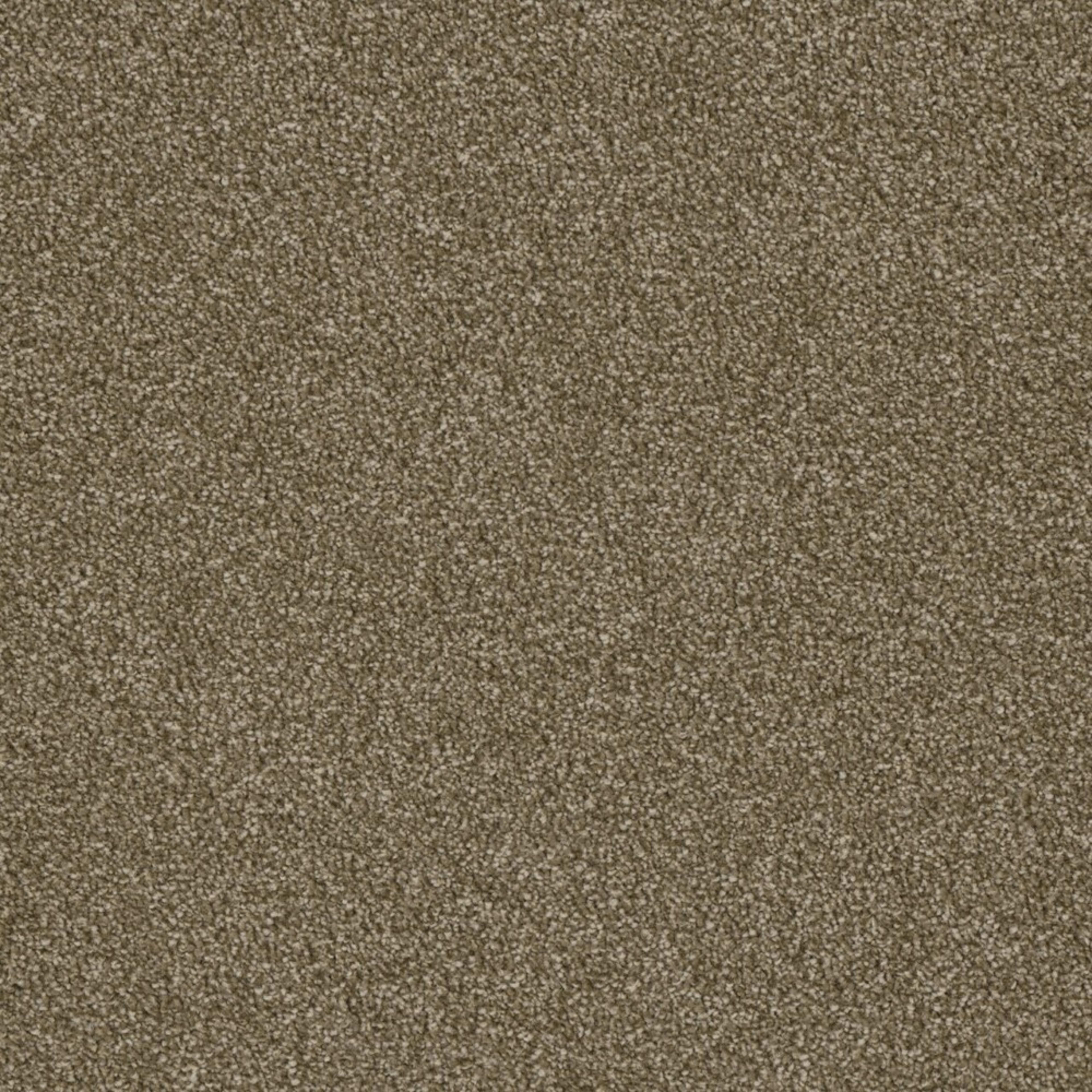 Profound II in Quail Carpet