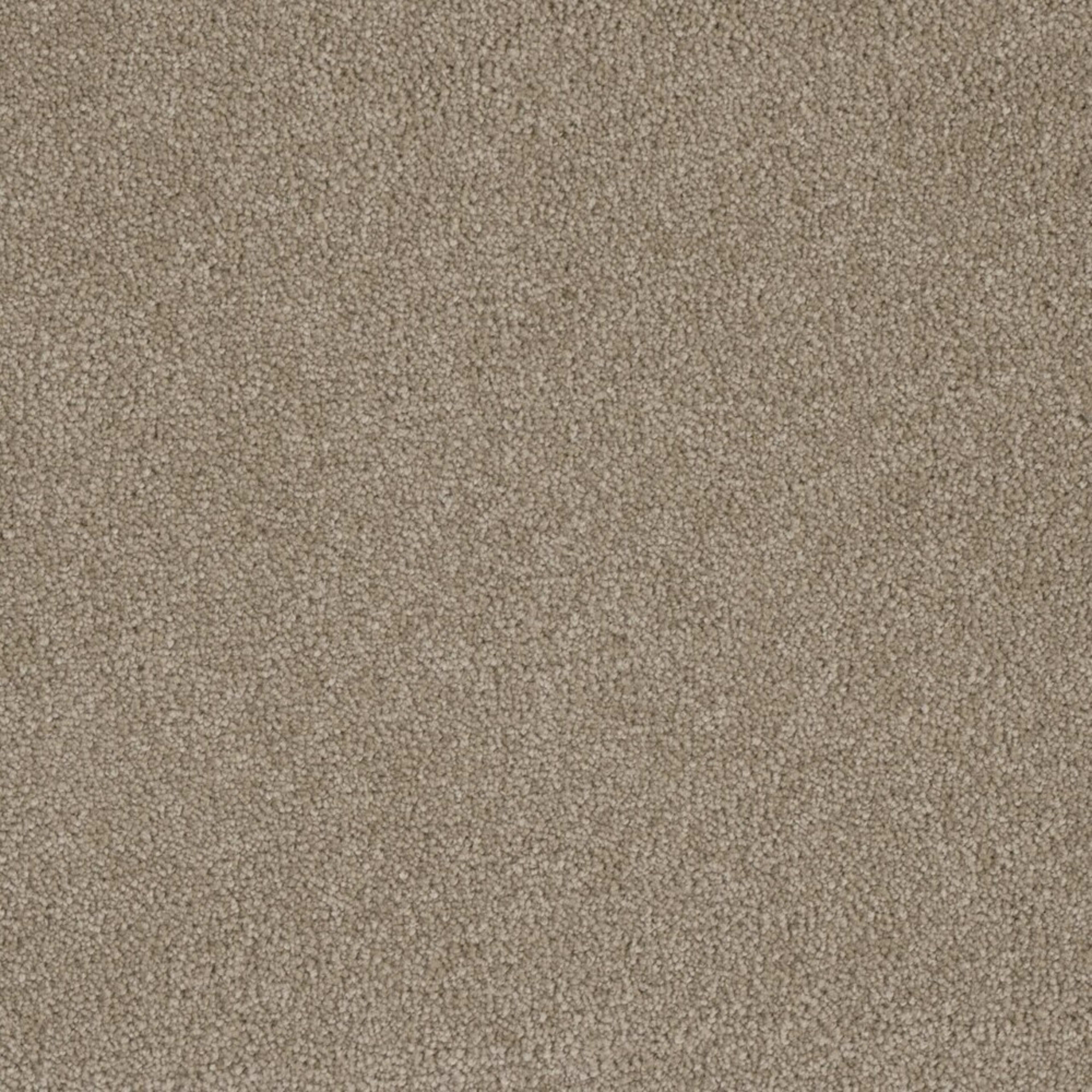 Profound III in Flax Beige Carpet