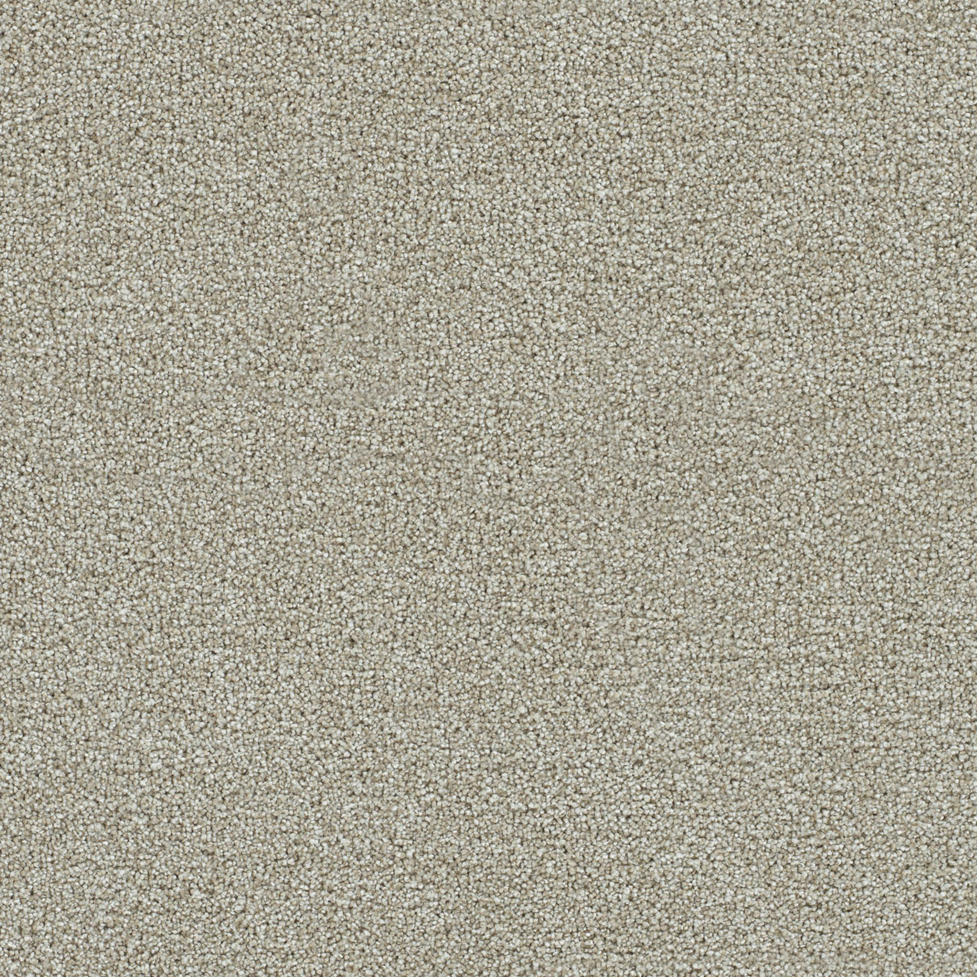 CLEARWATER II in Barnwood Carpet