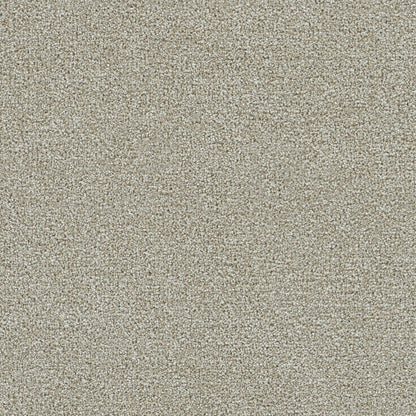 CLEARWATER II in Barnwood Carpet