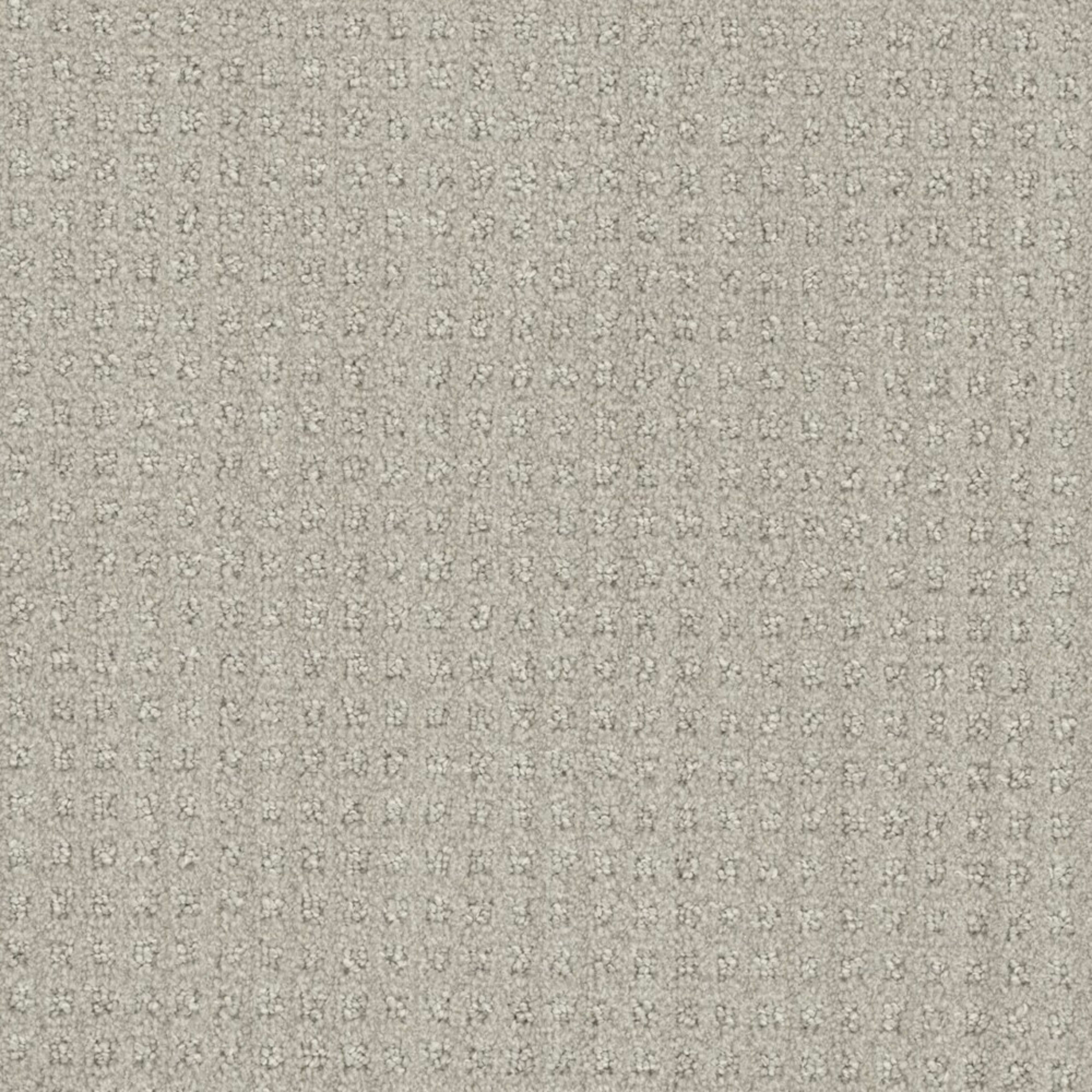 Emerson in Stone Spinning Carpet