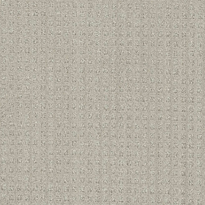 Emerson in Stone Spinning Carpet