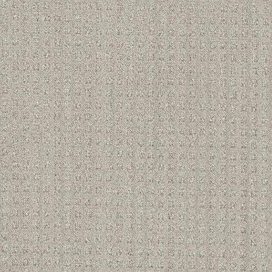 Emerson in Stone Spinning Carpet