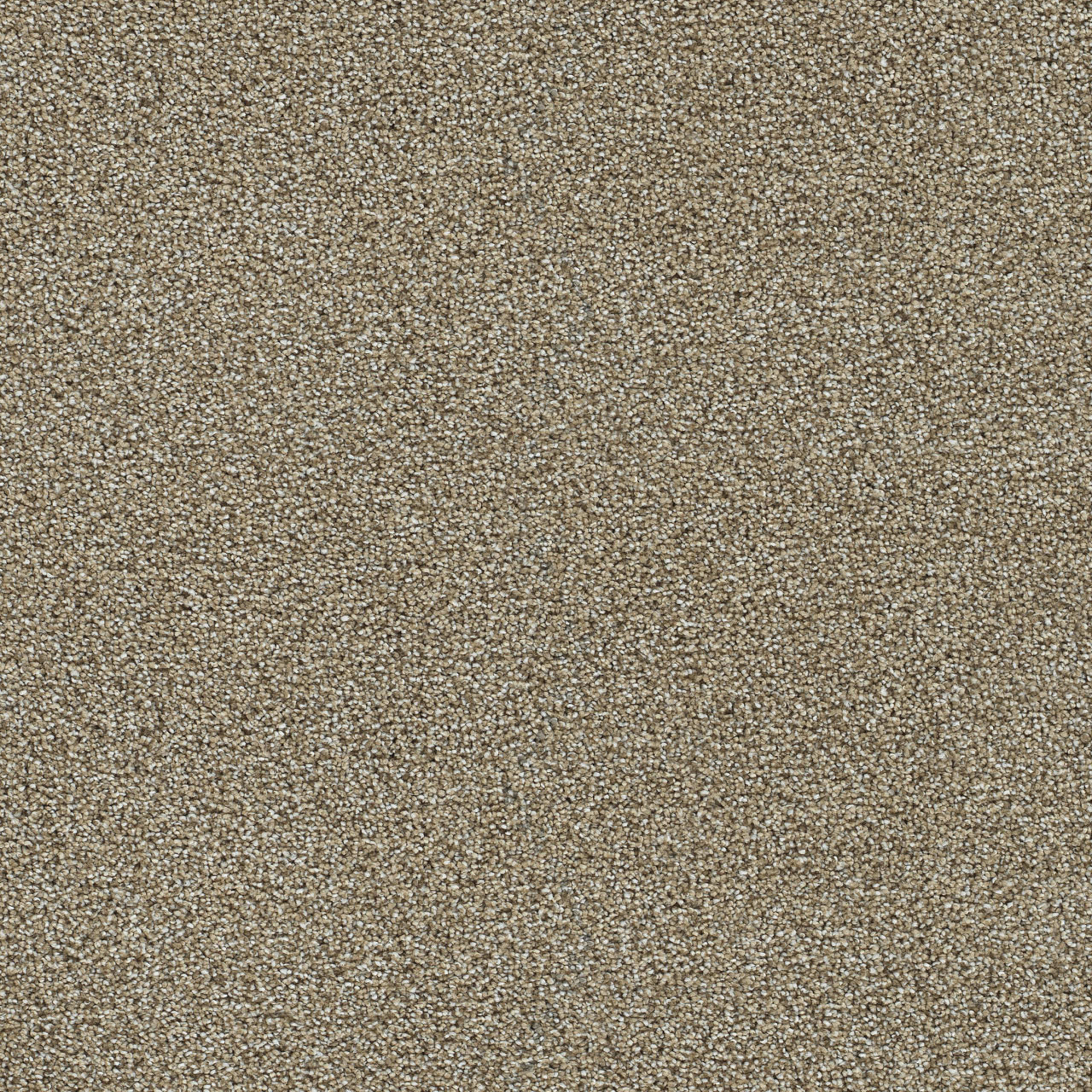 Clearwater III in Toasted Oat Carpet