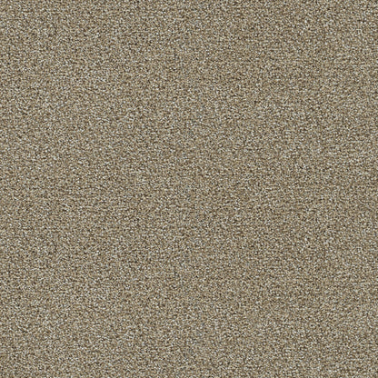 Clearwater III in Toasted Oat Carpet