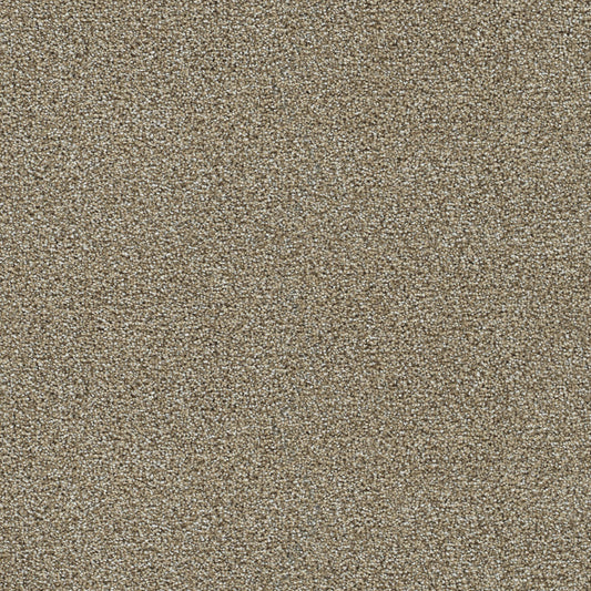 Clearwater III in Toasted Oat Carpet