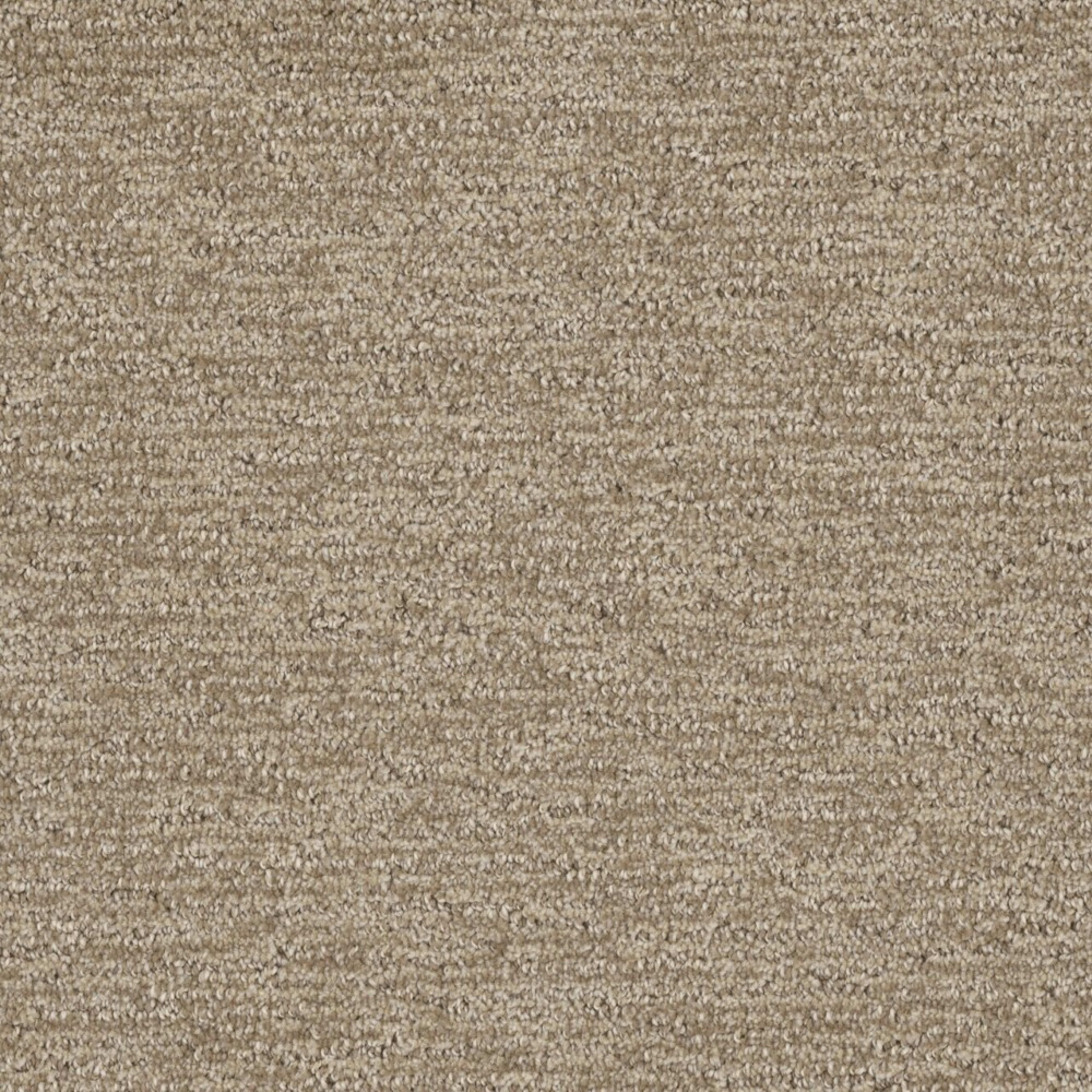 Natural Appeal in Shortbread Carpet