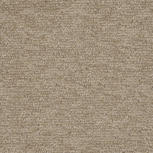 Natural Appeal in Shortbread Carpet