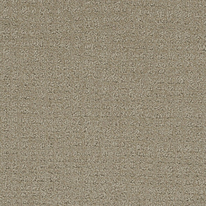 In Style in Fieldcrest Carpet