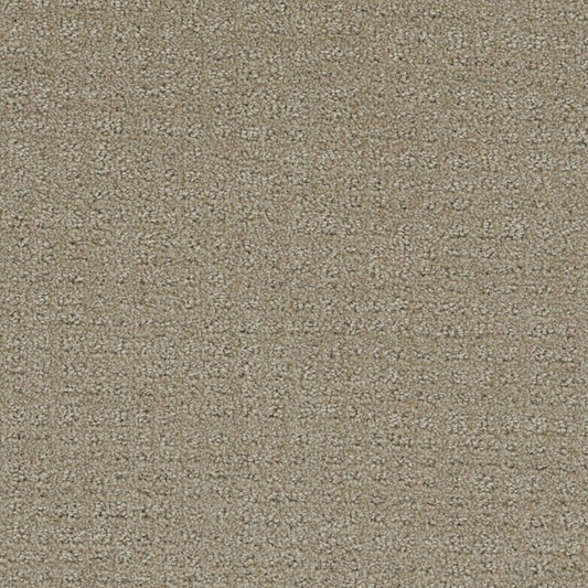 In Style in Fieldcrest Carpet