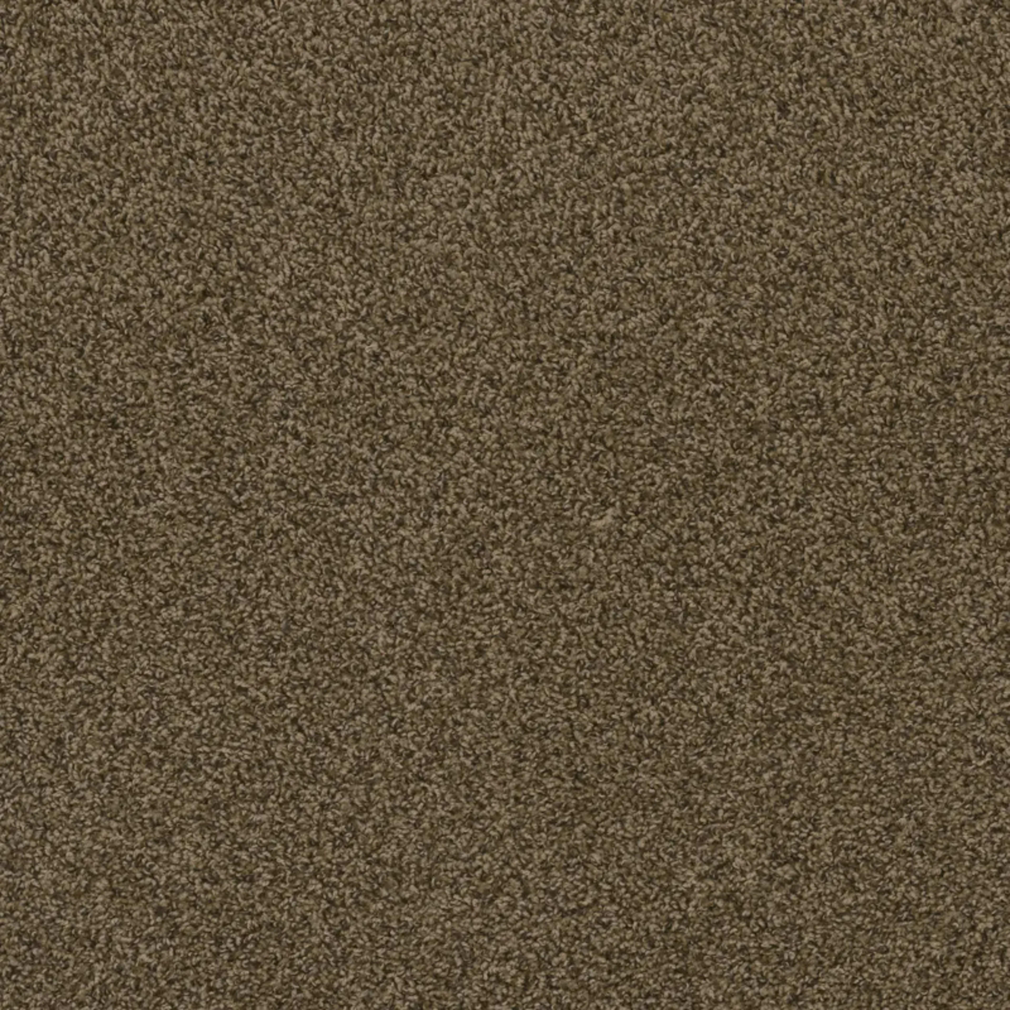 Hot Pursuit in Agate Carpet