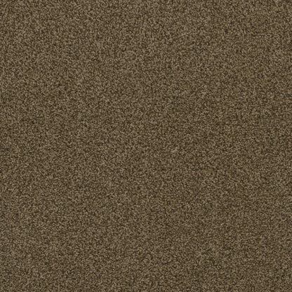 Hot Pursuit in Agate Carpet