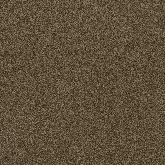 Hot Pursuit in Agate Carpet