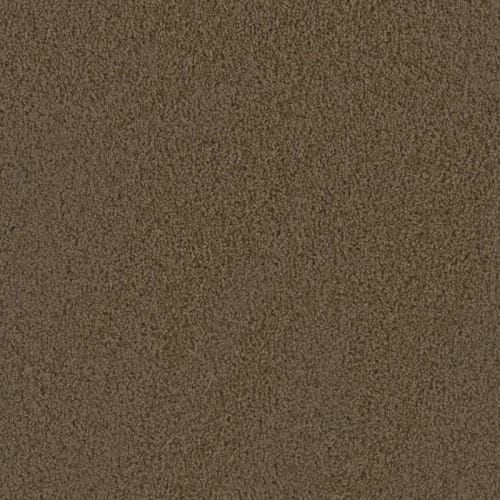 Hot Pursuit in Taupe