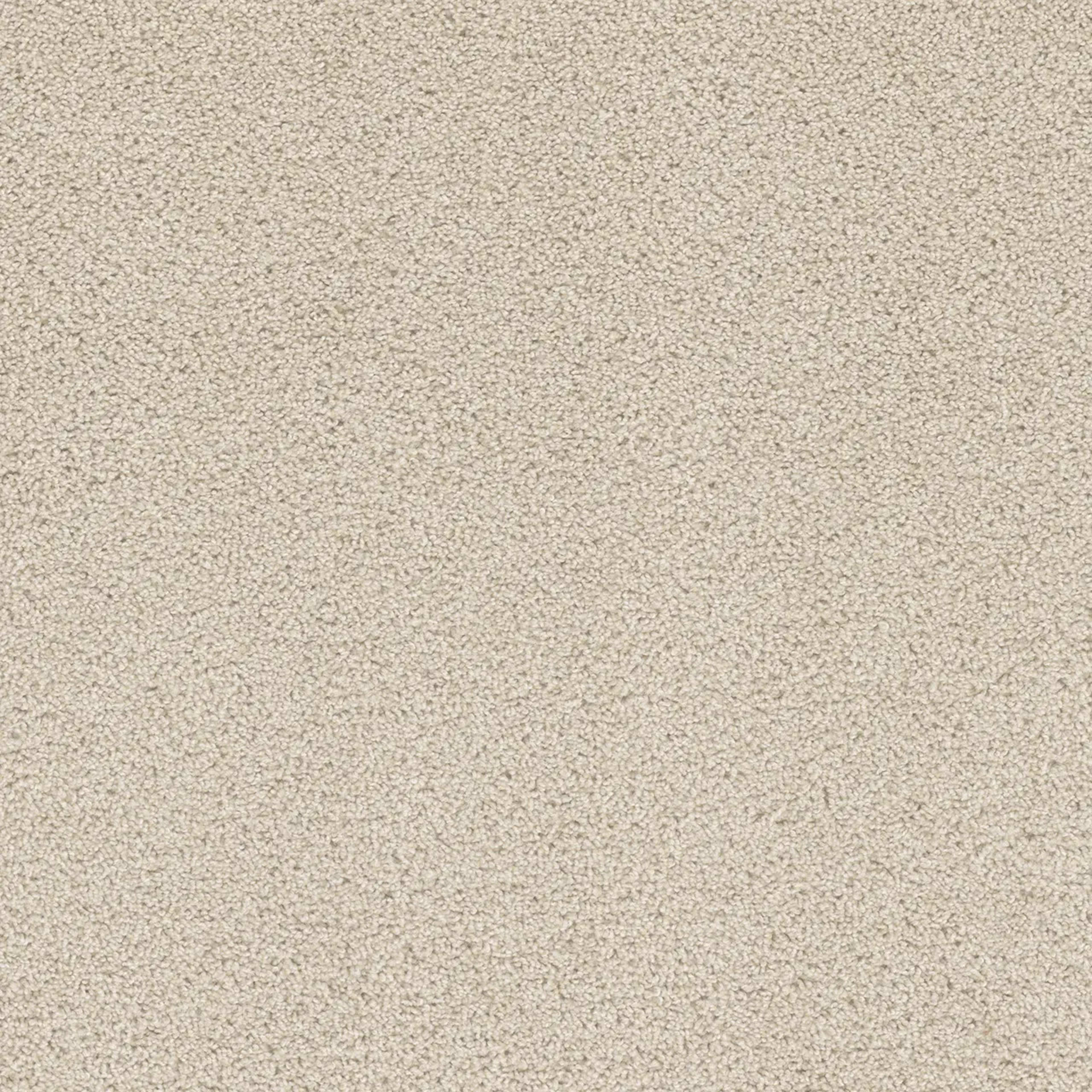 Beach Club II in Champagne Fizz Carpet