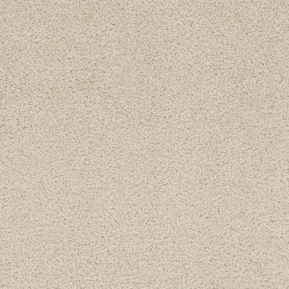 Beach Club II in Champagne Fizz Carpet