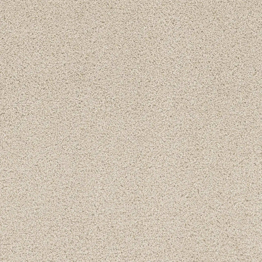 Beach Club II in Champagne Fizz Carpet
