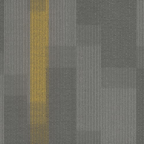 Amplify Tile in 3143