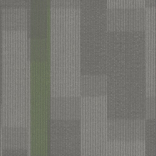 Amplify Tile in 3147