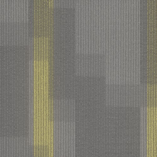 Amplify Tile in 3144