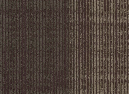 Element Plank