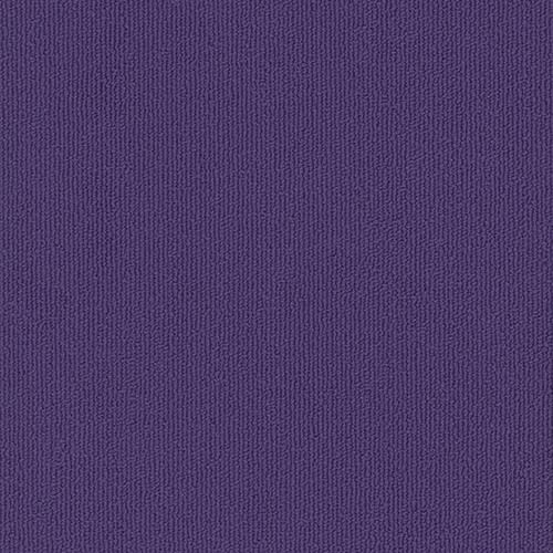 Colorburst Plank in Royal Purple