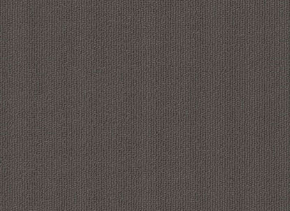 Colorburst Plank