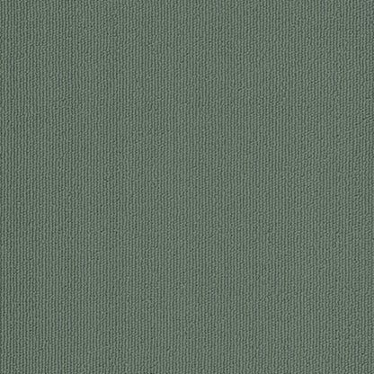 Colorburst Plank