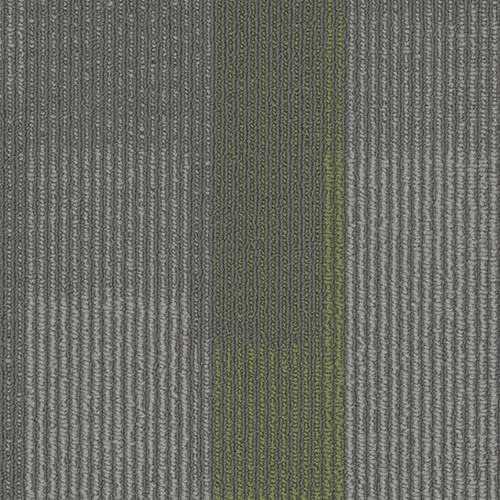 Amplify Plank in 3147