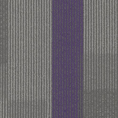 Amplify Plank in 3136