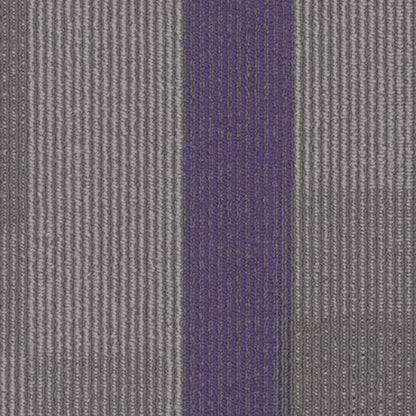 Amplify Plank