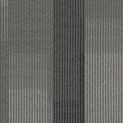 Amplify Plank in 3137