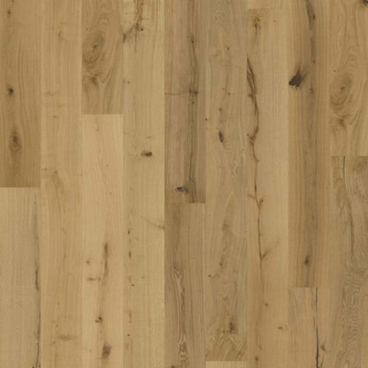Texture Collection in Natur