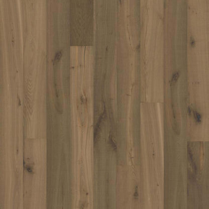 Texture Collection in Grau
