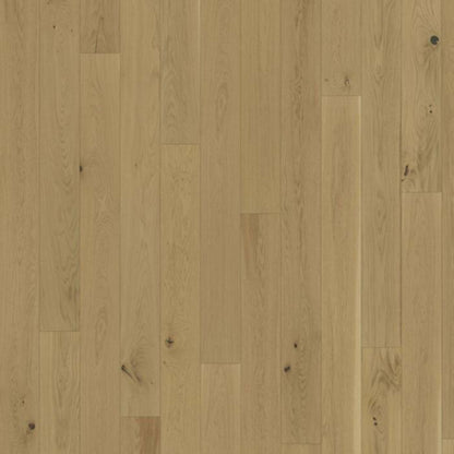 Lux Collection in Oak Biscotti