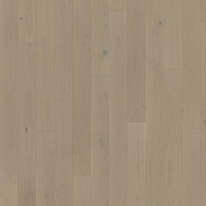 Lux Collection in Oak Crayon