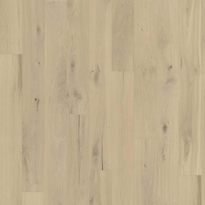 Beyond Retro Collection in Frosted Oat Plank