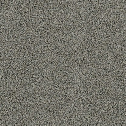 Tracker in Bayside Carpet
