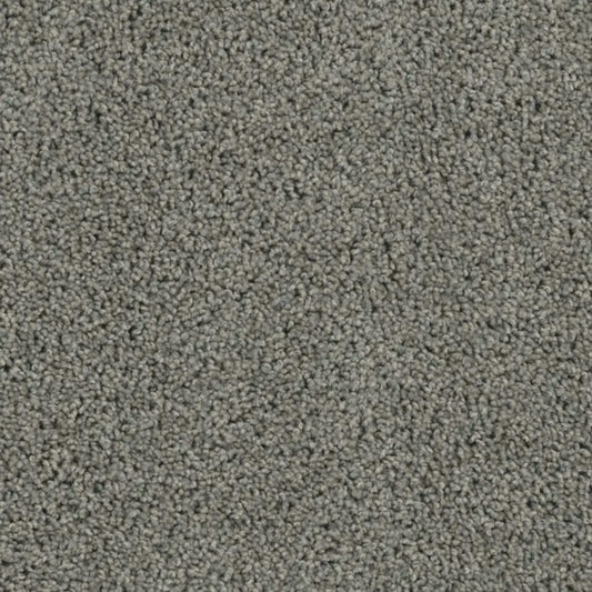 Tracker in Bayside Carpet