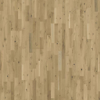 Beyond Retro Collection in Urban Brown Strip