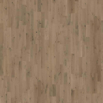 Beyond Retro Collection in Frozen Hazelnut Strip